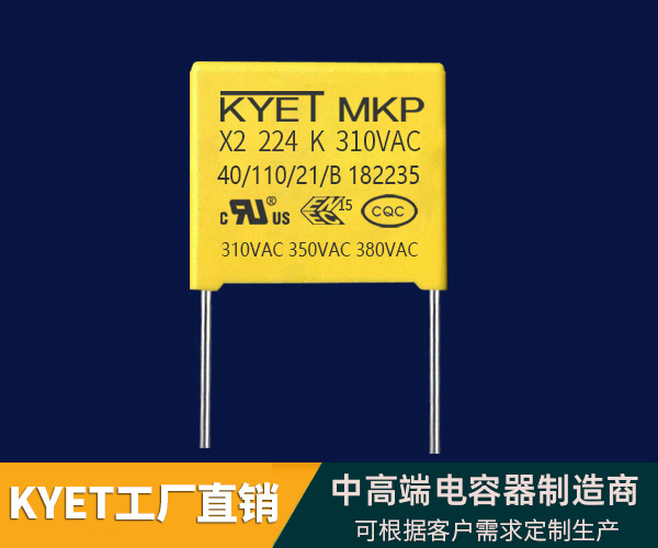 X2安规拼搏在线官方网站_拼搏（中国）
器(310V)
